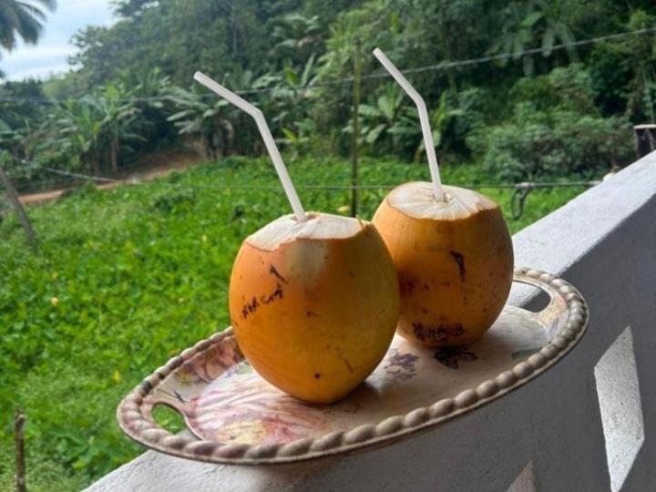 فيليغاما Sandaru Holiday Resort المظهر الخارجي الصورة